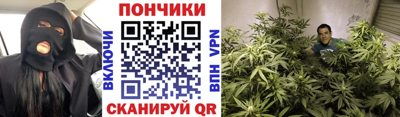 Где продают наркотики Бронницы APVP  ГАШ  Амфетамин  COCAIN  Канабис 