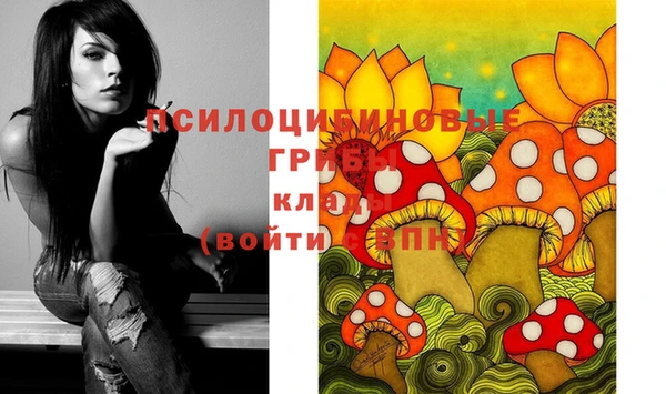 бутират Алексеевка