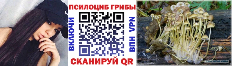 Галлюциногенные грибы ЛСД  Бронницы 